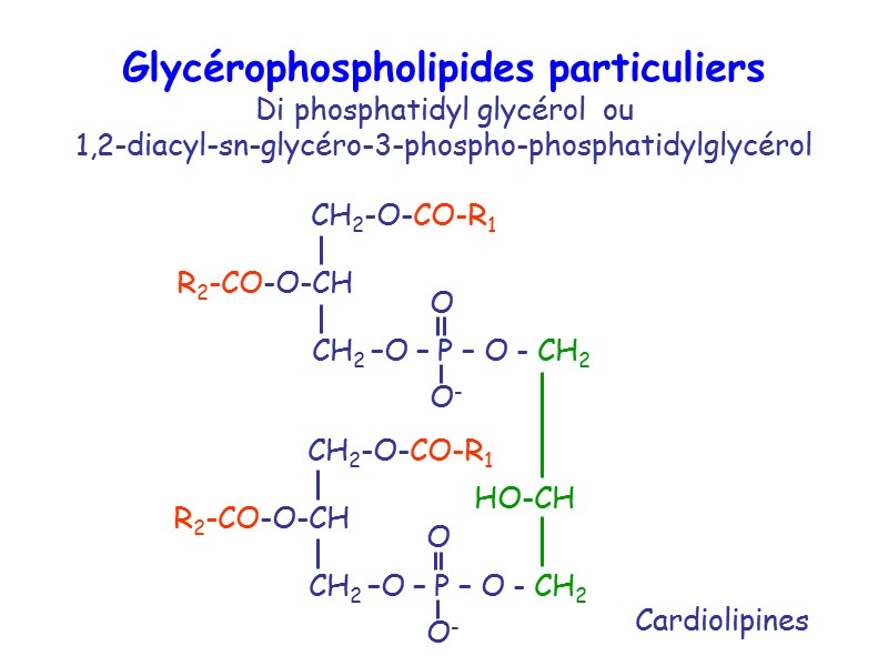 Glycérophospholipides particuliers Di phosphatidyl glycérol  ou  1,2-diacyl-sn-glycéro-3-phospho-phosphatidylglycérol Cardiolipines HO-CH